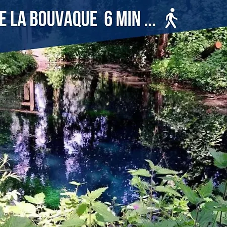 公寓 Le Cocon De Lilou -moderne-wifi- 5min Du Centre